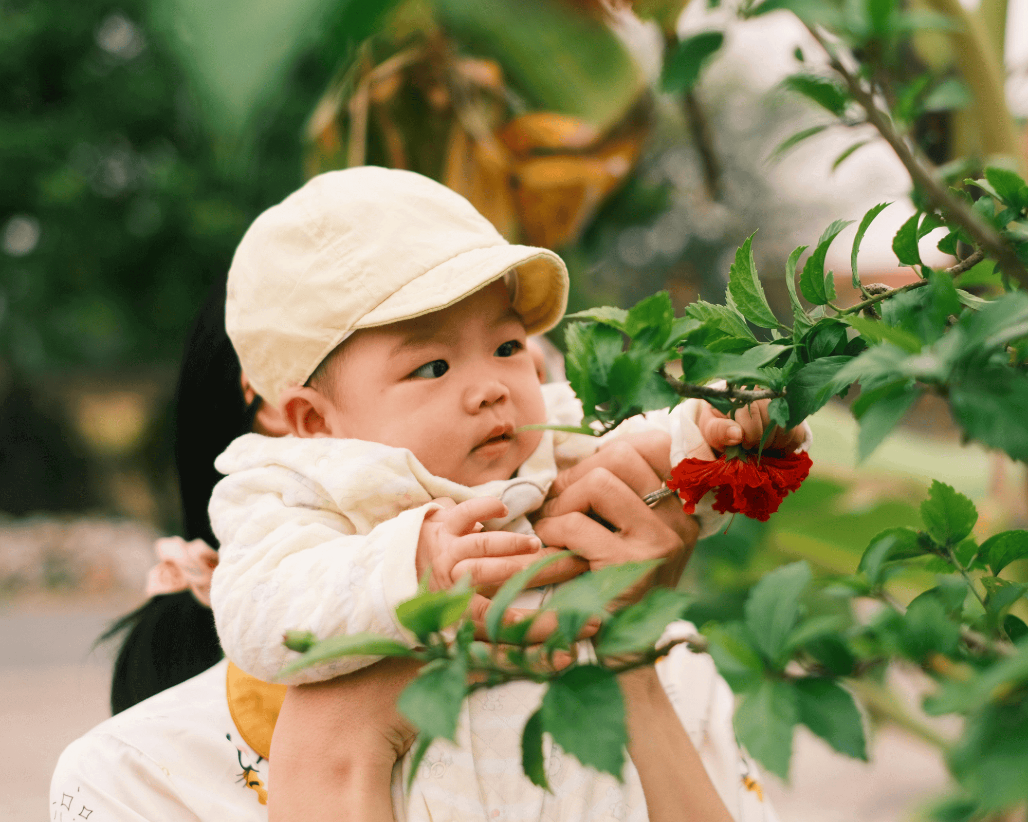 Baby boy pulling on a tree branch