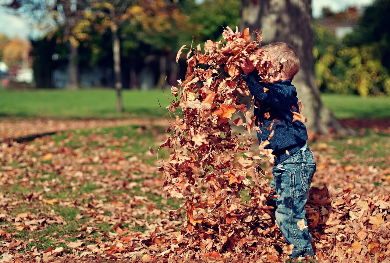 boyplyinginleaves