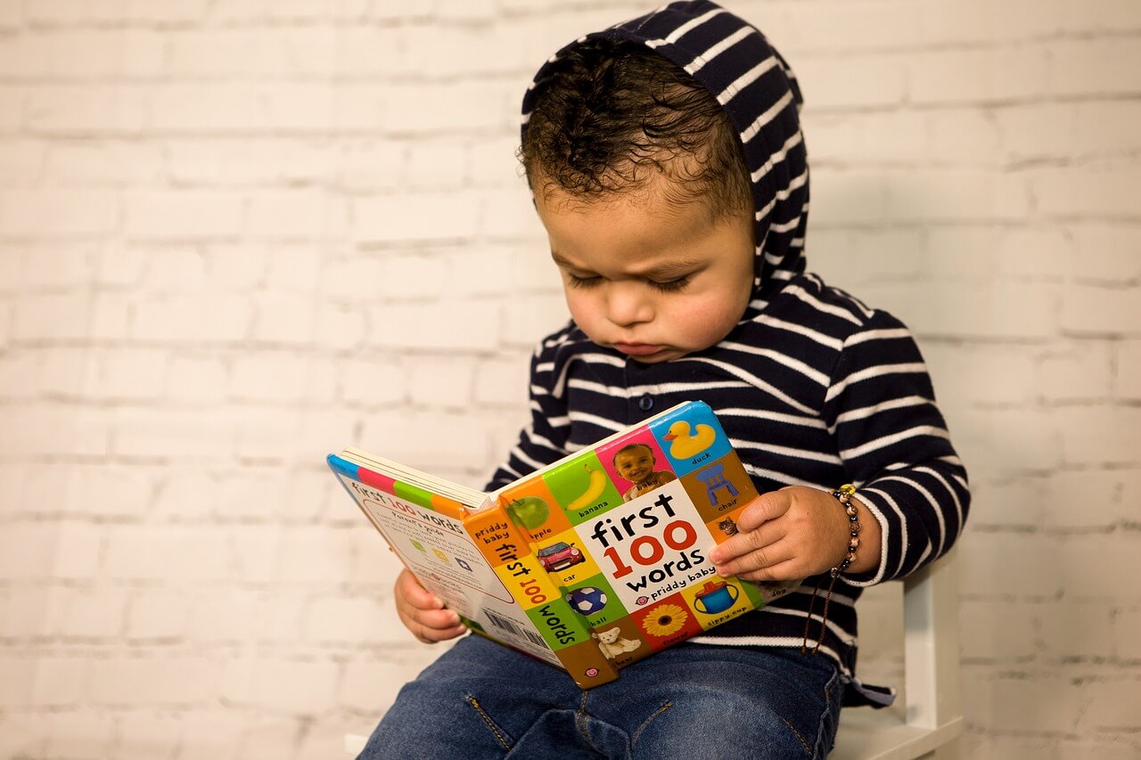 One Year Old Boy Reading a Picture Book