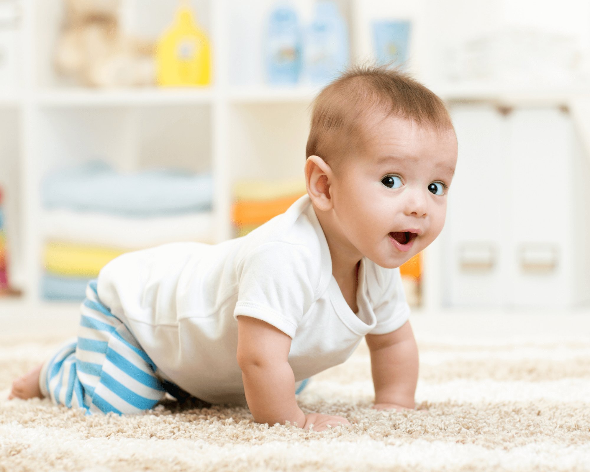 Adorable baby boy crawling